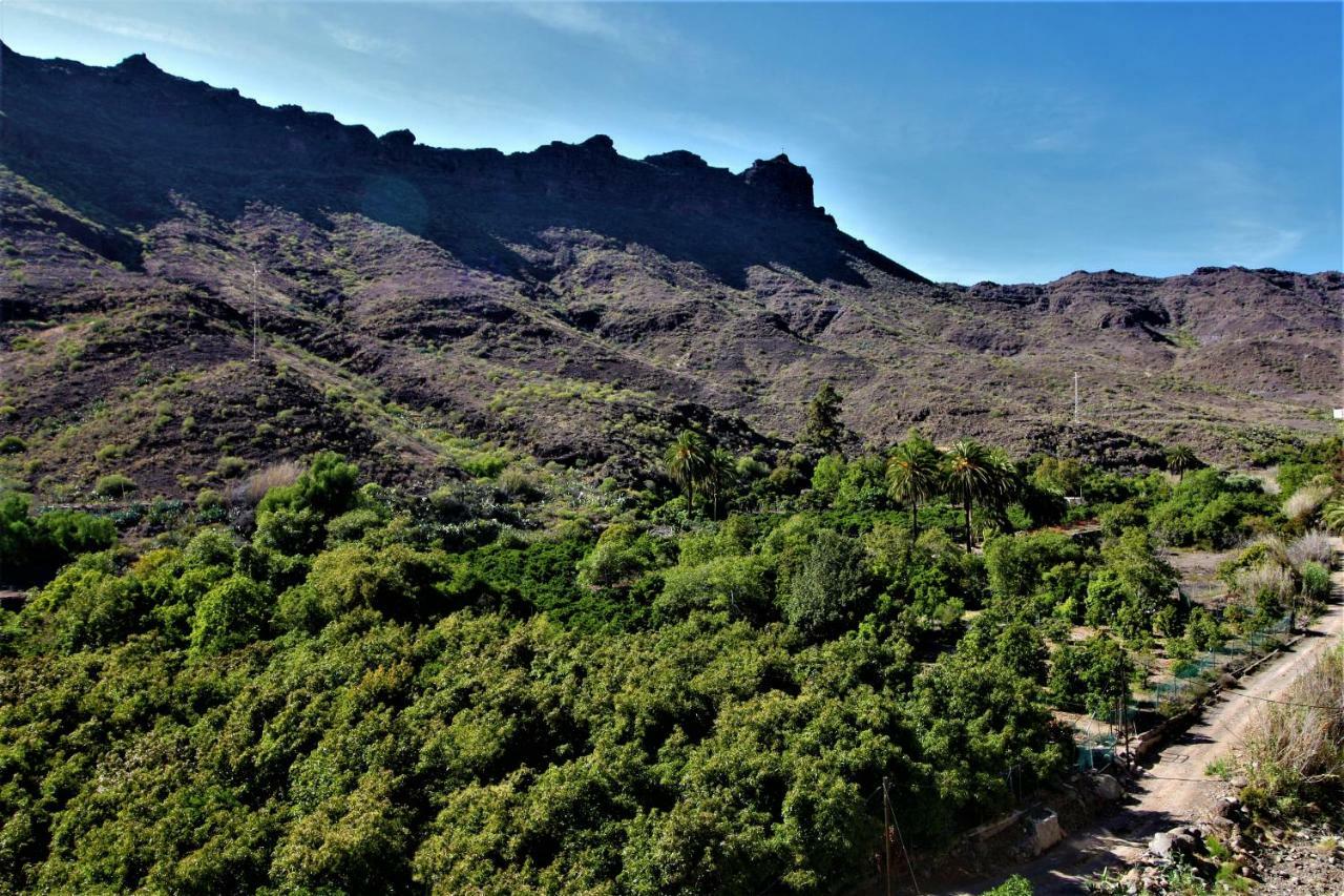 Open Sky Valley Mogán Εξωτερικό φωτογραφία